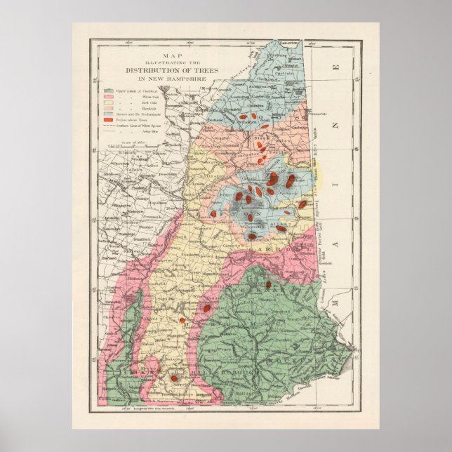 Gamla New Hampshire Träd Species Karta (1877) Poster (Framsidan)