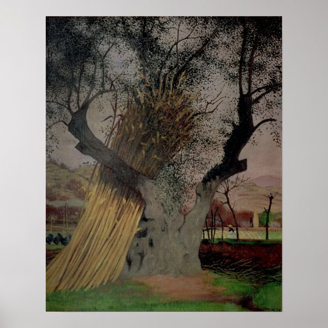 Gamla Olive Träd, 1922 Poster (Framsidan)