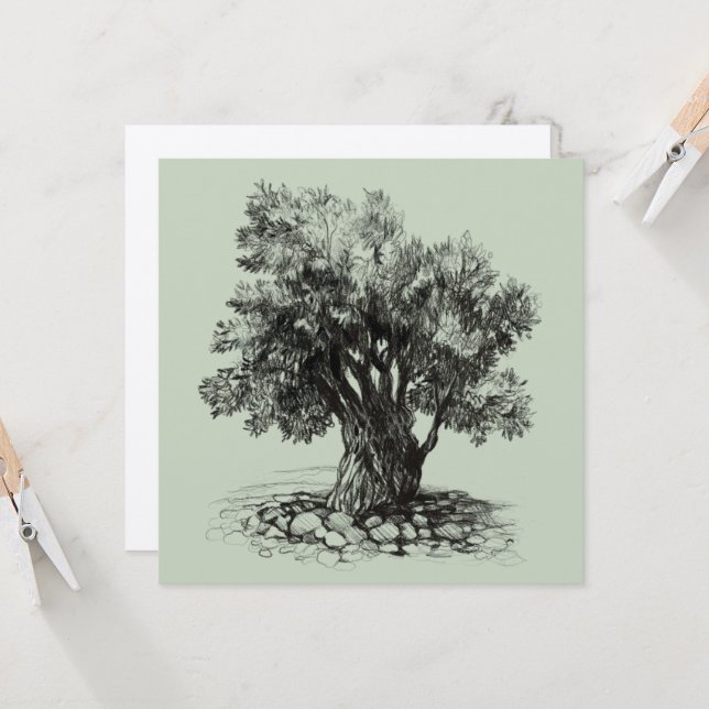 Gamla olivträd (Fram/Back In Situ)