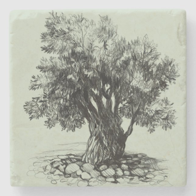 Gamla olivträd stenunderlägg (Framsidan)