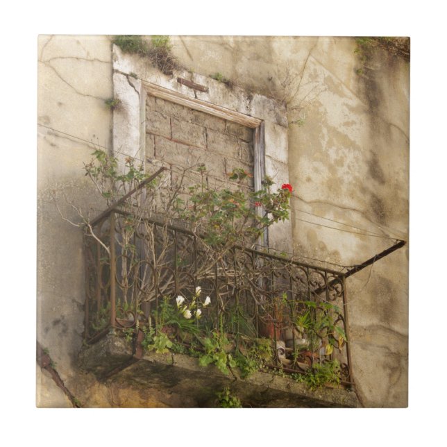 Gamla övergivna hus kakelplatta (Framsidan)