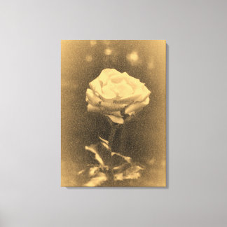 Gamla Photo BeSnyt Rosa ros nära Canvastryck