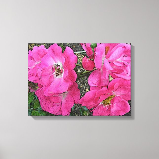 Gamla planéer Rosa ros - förbättrad Canvastryck (Framsida)