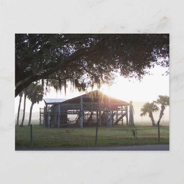 Gamla ranch byggnad under träd med manlig staty vykort (Framsida)