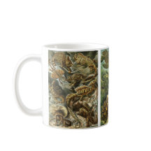 Gamla reptiler och amfibier av Ernst Haeckel