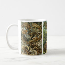 Gamla reptiler och amfibier av Ernst Haeckel Mugg
