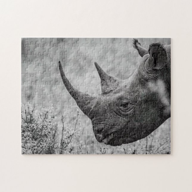Gamla Rhinoceros - Black and White HD Photo Puzzle Pussel (Horisontell)