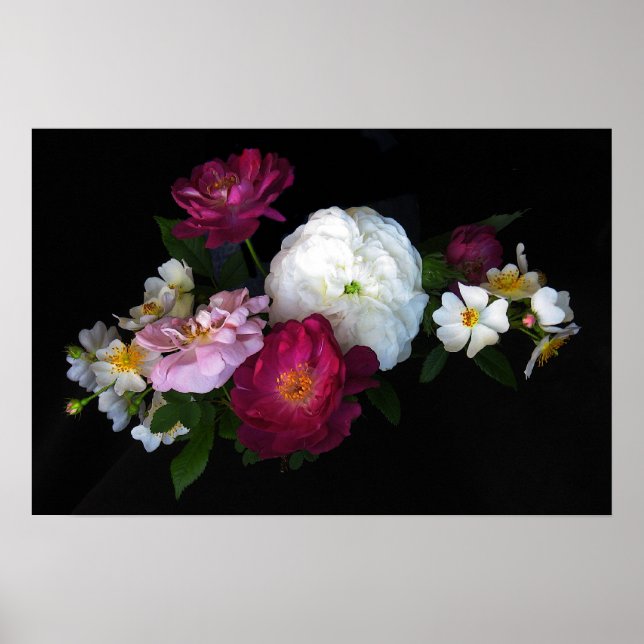 Gamla Ro Poster (Framsidan)