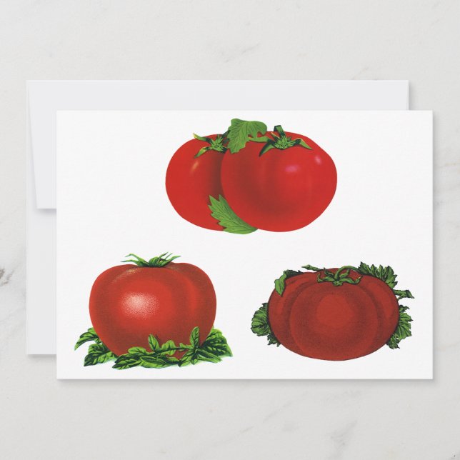 Gamla röda mogna tomater mat, frukter, grönsaker (Framsida)