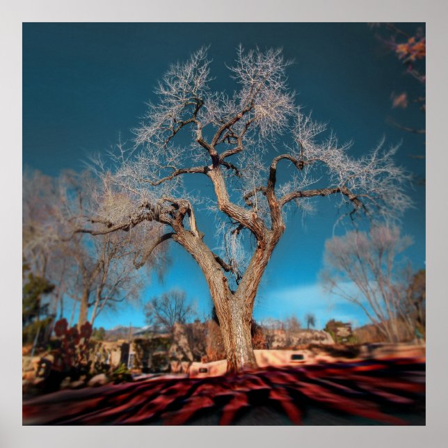 Gamla rötter på Canyon Road Poster (Framsidan)