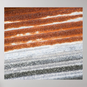 Gamla Rusted Zinc Yta Struktur Poster