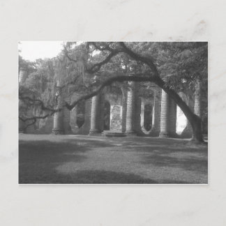 Gamla Sheldon Church i Yemassee, SC Vykort