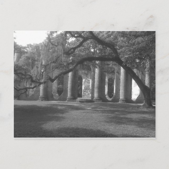 Gamla Sheldon Church i Yemassee, SC Vykort (Framsida)