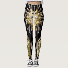 Gamla sjöborrar sanddollar av Ernst Haeckel Leggings