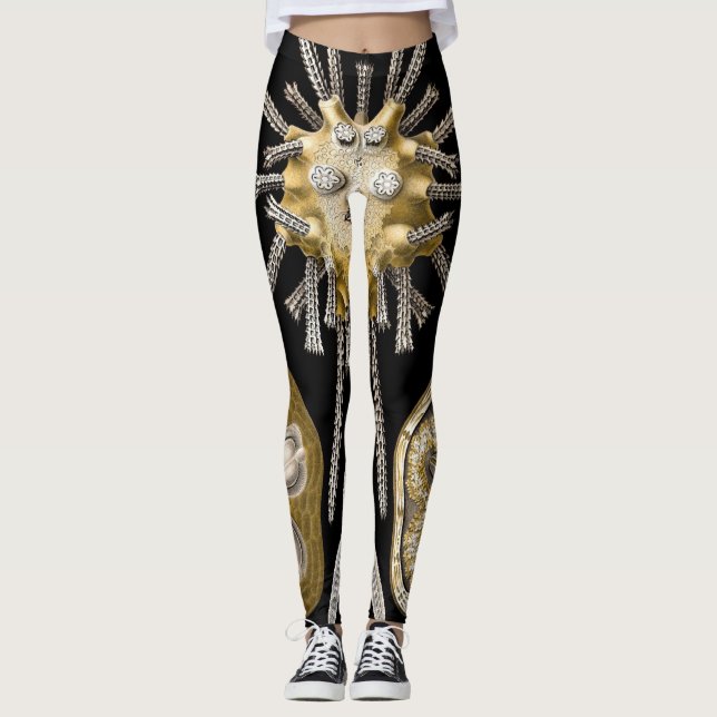 Gamla sjöborrar sanddollar av Ernst Haeckel Leggings (Framsida)