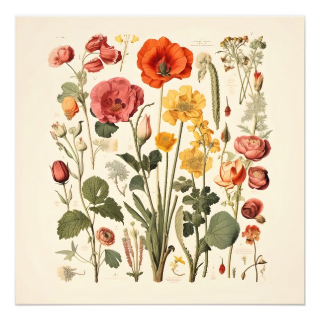 Gamla skolblommor fototryck (Framsidan)