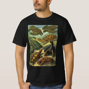 Gamla sköldpaddor och havssköldpaddor av Ernst Hae T-shirt