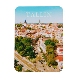 Gamla staden Tallinn Estland, City Art Magnet