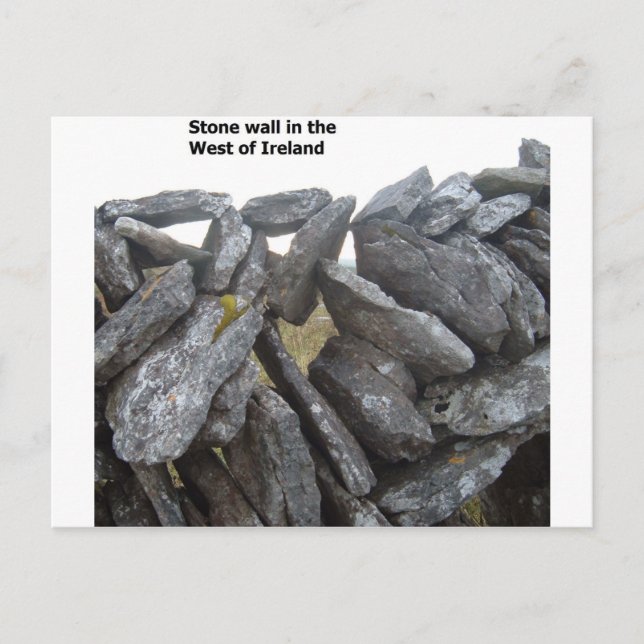 Gamla stenmurar i Irland Vykort (Framsida)
