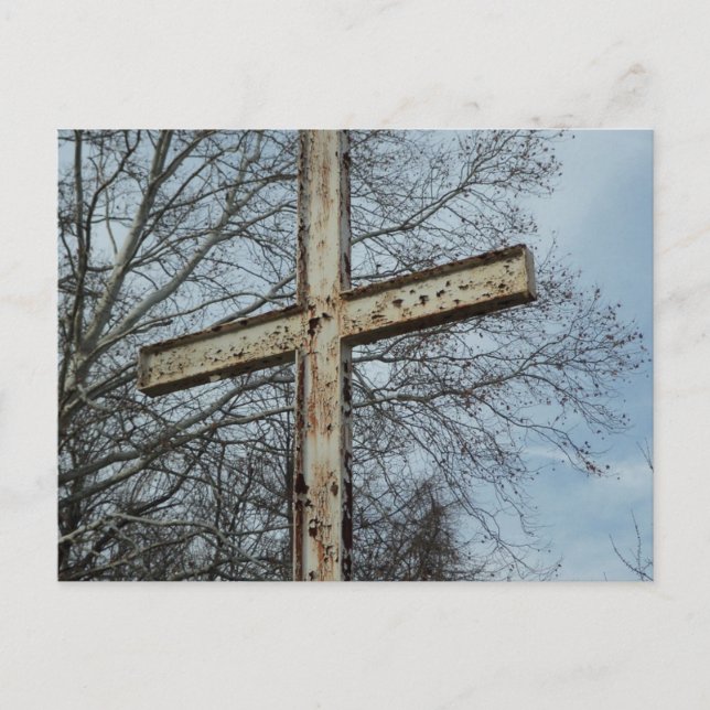 Gamla tåliga Kor Vykort (Framsida)