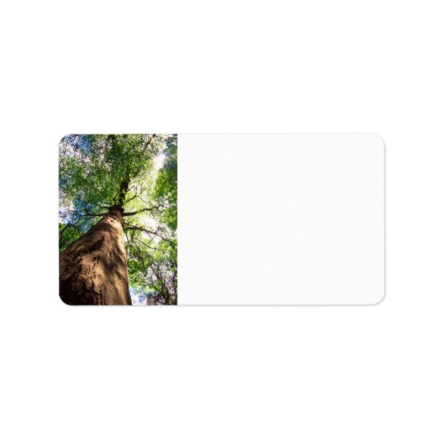 Gamla tillväxtekondensen Träd Adressetikett (Framsidan)