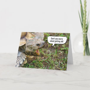 Gamla Tortoise som får gammal födelsedag Kort