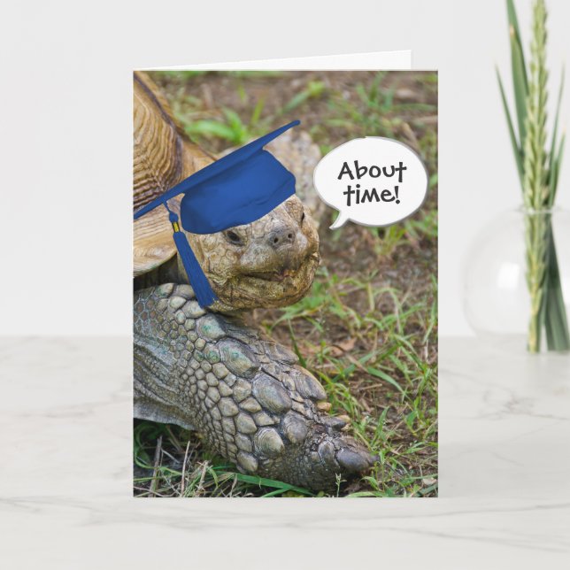Gamla Tortoise Student med blå tak Kort (Framsida)