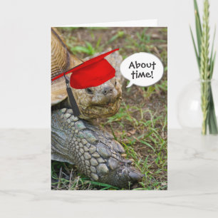 Gamla Tortoise Student med Red Cap Kort