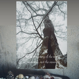 Gamla Träd i Misty Forest Poster