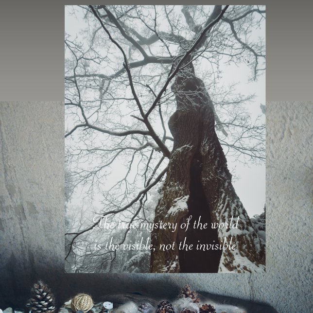Gamla Träd i Misty Forest Poster (Skapare uppladdad)