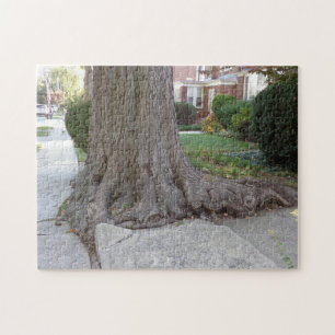 Gamla Träd och Roots Damaging Sidepromenad JigSaw Pussel