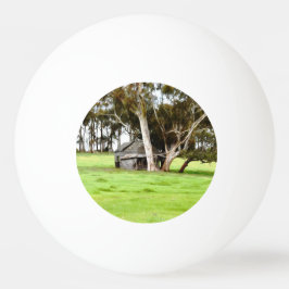 Gamla träsket pingisboll