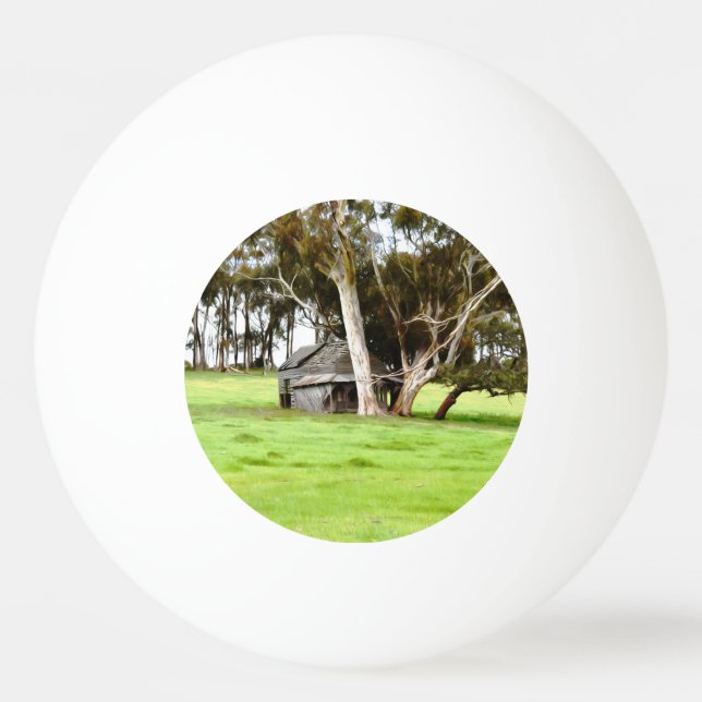 Gamla träsket pingisboll (Baksidan)