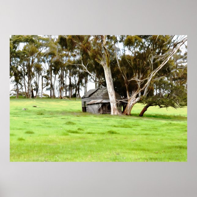 Gamla träsket poster (Framsidan)