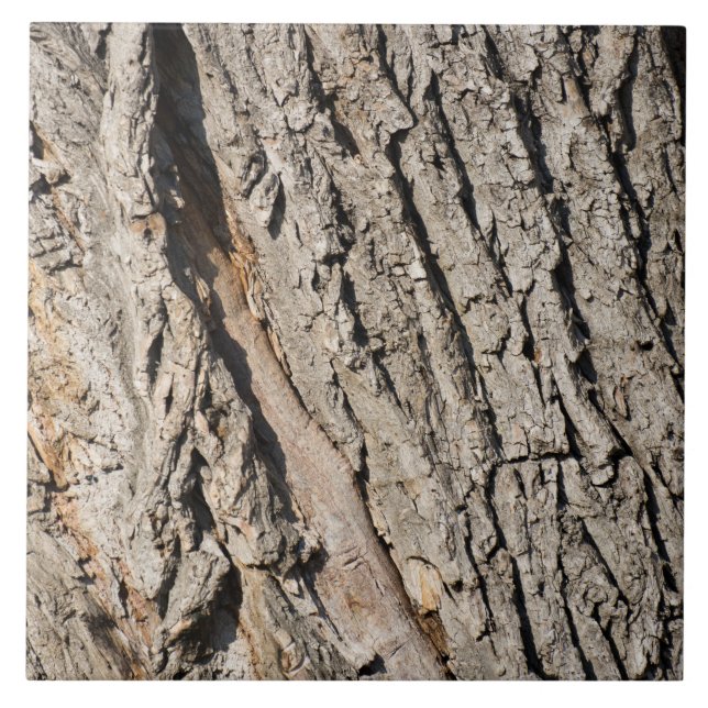 Gamla trunk mönster kakelplatta (Framsidan)