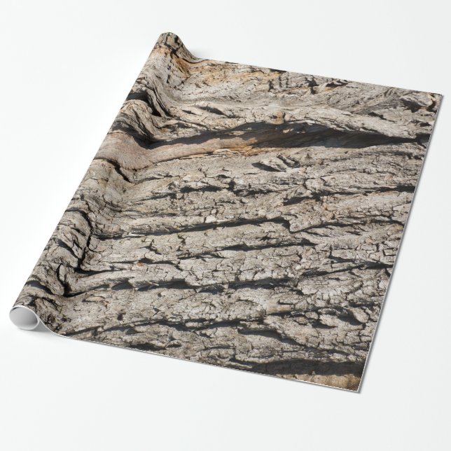 Gamla trunk mönster presentpapper (Utrullad)