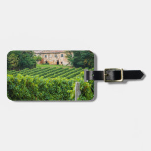 Gamla Tuscan Vineyard och Villa Bagagebricka