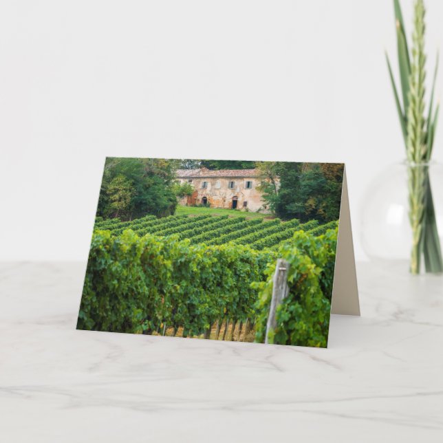 Gamla Tuscan Vineyard och Villa Kort (Framsida)
