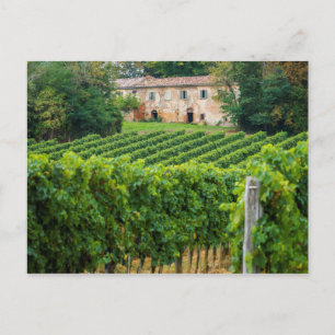 Gamla Tuscan Vineyard och Villa Vykort