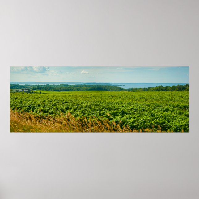 Gamla Uppdrag Peninsulan, Michigan Poster (Framsidan)