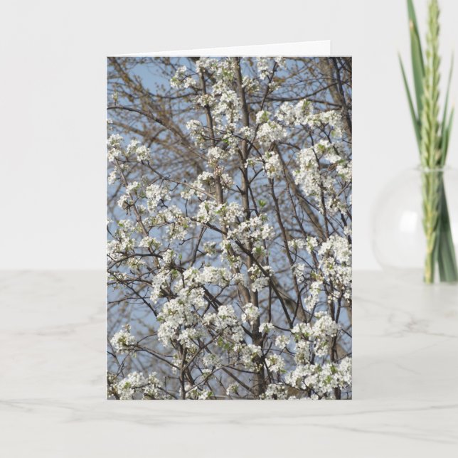 Gamla vänner genom livets årstider tack kort (Framsida)