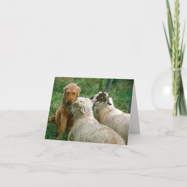 Gamla vänner kort (Framsida)