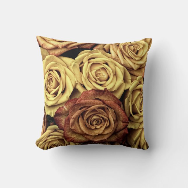 Gamla världsinsamlingen - Dekorativ kudde (Framsida)