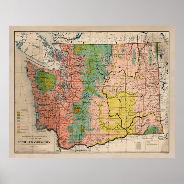 Gamla Washington State Blommigt Biome Karta (1906) Poster (Framsidan)