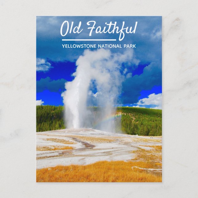 Gamle Faithful Geyser | Yellowstone nationalpark Vykort (Framsida)
