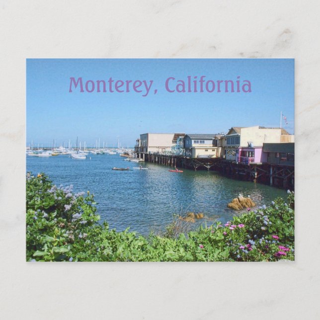 Gamle Fishermans Wharf, Monterey, Kalifornien Vykort (Framsida)