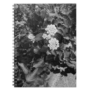 Gamle Flowers spiral Anteckningsbok