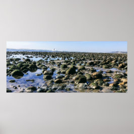 Gamle mans Beach-San Onofre State Beach Poster