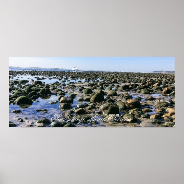 Gamle mans Beach-San Onofre State Beach Poster (Framsidan)