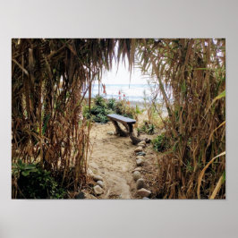 Gamle mans Beach-San Onofre State Beach Poster